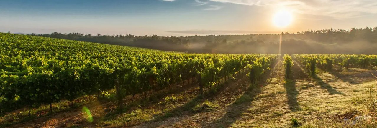 TradePro Websites working hours